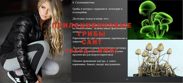 винт Бугульма