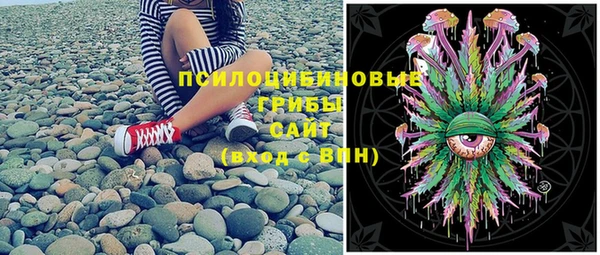 экстази Бородино